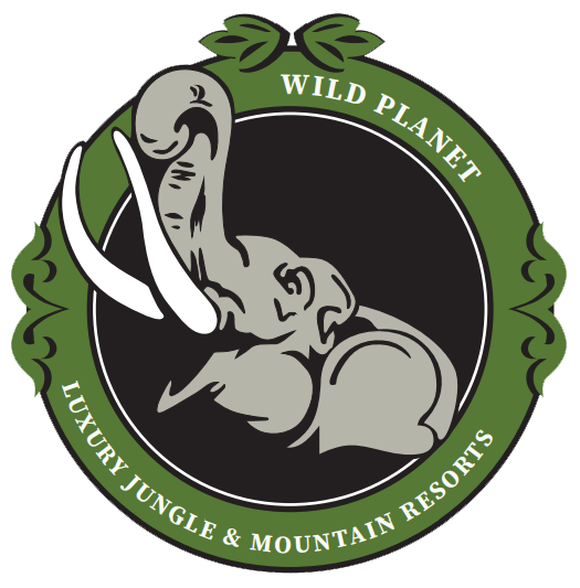 Website Logo